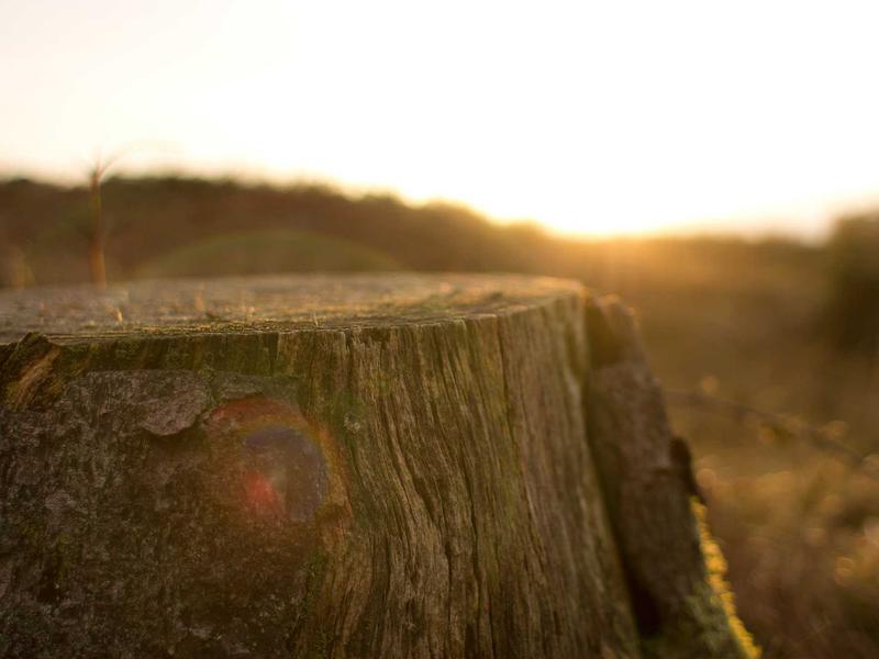 sudoku medium screenshot 2